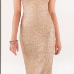 Sorella Vita One Shoulder Sequin Maxi Dress Size 8 Photo 0