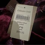 Coldwater Creek Velvet Paisley Blazer Burgundy Purple Jacket P10 Fairy Y2K Photo 4