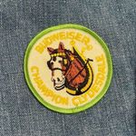 Wrangler Vintage 1970s Jean Jacket Size 40 = Modern US Medium Patches Blue Photo 4