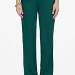 ANINE BING Emerald Green Classic Straight Leg Silk Pants Size 38 NWT Photo 0