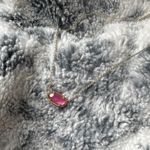 Kendra Scott Pink  Necklace Gold Photo 0