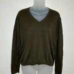 Massimo Dutti  Green 100% Linen V-Neck lightweight Sweater Size XS NWT Minimalist Photo 0
