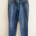 Lane Bryant  Blue Straight Leg Jeans Classic Style Photo 0