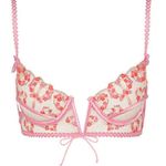 For Love & Lemons ππ Love Bouquet Embroidery Bra ~ Pink SDD NWT Photo 7