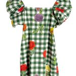 Cara Cara Kelly Green Gingham Fruit Print Puff Sleeve Square Neck Mini Dress XS Photo 1