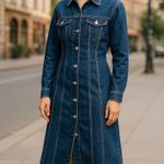 Steve Madden NWT Women’s Denim Maxi Dress Denim Jacket XL Photo 0