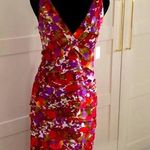 Jones Wear  dress. Photo 0