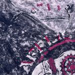 Affliction  Women's Black and Pink Graphic Tee Photo 9