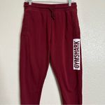 Gymshark Women's Maroon Athletic Jogger Pants, Sz Medium Photo 1