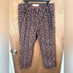 Soft Surroundings  Ultimate High Rise Leopard jeans‎ print size 18w Photo 1