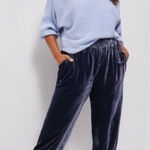 Anthropologie By‎  Gloria Navy Velvet Joggers MEDIUM Photo 0