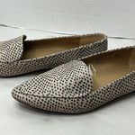 Time and True Memory Foam Flats Leopard Print POINTED TOE Size 10 Black Photo 1