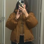 Pull & Bear Jacket Photo 7