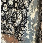 Just Taylor women’s Short black Ivory Crochet Lace dress, size 4 Photo 2