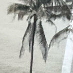 Brandy Melville PacSun Jeans Photo 0