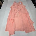 LPA Gown 253 in Blush XL Photo 2