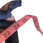 Eighty Eight  red rose graphic tee Photo 4