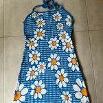 Cider Daisy Print Open Back Dress Photo 0