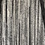 Vimmia  Black and White Thick Leggings Photo 1