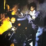 Purple Rain M Prince and The Revolution Short Sleeved Shirt Size M Photo 2