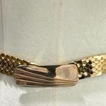 Vintage 70’s 80’s shiny gold link stretchy slinky belt Photo 0
