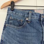 Everlane medium Wash jeans 5-pocket belt loops casual minimalist cotton stretch Photo 2