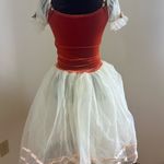 Small Tulle Costume Dress Photo 5