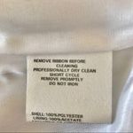 Jessica McClintock  Mini Crinkled Dress Photo 14