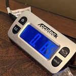 st. john's bay  Short‎ Womens 4 Blue 7" Mid Rise Flat Front Secretly Slender NEW Photo 9