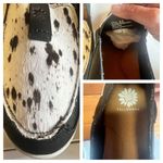 Yellow Box  WOMEN'S OLEVIA COW PRINT SLIP-ON SHOE - MOC TOE Sz 9.5 NWOT Photo 7