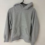 Aritzia Grey  Hoodie TNA Boyfriend Photo 0