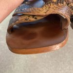 Madewell Snake Print Coastal Minimalist Preppy Modest Quiet Luxury Sanda… Photo 3