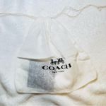 Coach  Watermelon Huggie Earrings Photo 6