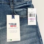 Wall Flower NWT Stellar High Rise Shorts in Jaylene Color Women’s Size 10 Photo 8