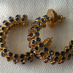Oscar de la Renta Nwot  Gold and Multicolor Crystal Hoop Earrings Photo 0