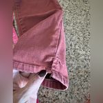 WIT & WISDOM ‘ab'solution High Waist Ankle Skinny Pants Burnt Henna Size 6 EUC Orange Photo 7