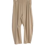 Old Navy Tan High-Waisted SleekTech Barrel Ankle Pants Large tall Savanna Grass Photo 2