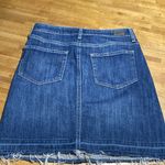 Paige  denim skirt  sz. 26 Photo 1