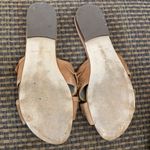 Ann Taylor  slides Photo 1