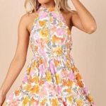 Petal and Pup Raffael High Neck Open Back Mini Dress Medium Photo 0