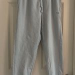 Aritzia Tna Extra Fleece Boyfriend Sweatpant | Size Small Photo 0