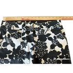 The Limited  Women’s Size 6 Black White Floral Shorts Cotton Poly Spandex READ Photo 3