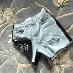 Revice Denim  Two Toned Shorts Photo 0