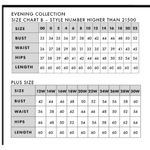 La Femme NEW  Chiffon Lace Rhinstone SS Sweetheart V-Neckline Gown Silver Size 6 Photo 5