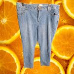 Coldwater Creek Coldwater Creek Denim Jeans Comfort Fit Everyday Casual Blue Size 16 Photo 1