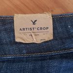 American Eagle  Outfitters Artist Crop Low Rise Stretch Jeans - Size 4 Reg - NWT Photo 6