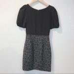 Rebecca Taylor sz 2 Cheetah Print Sheath Dress Photo 5