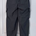 American Eagle Outfitters Cargo Pants Photo 1