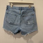 AGOLDE Size 27 Parker Long Short in Swapmeet Photo 3