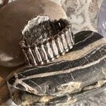 Statement Ring Turquoise Medallion Set in Silver Stretch Band One Size Photo 3